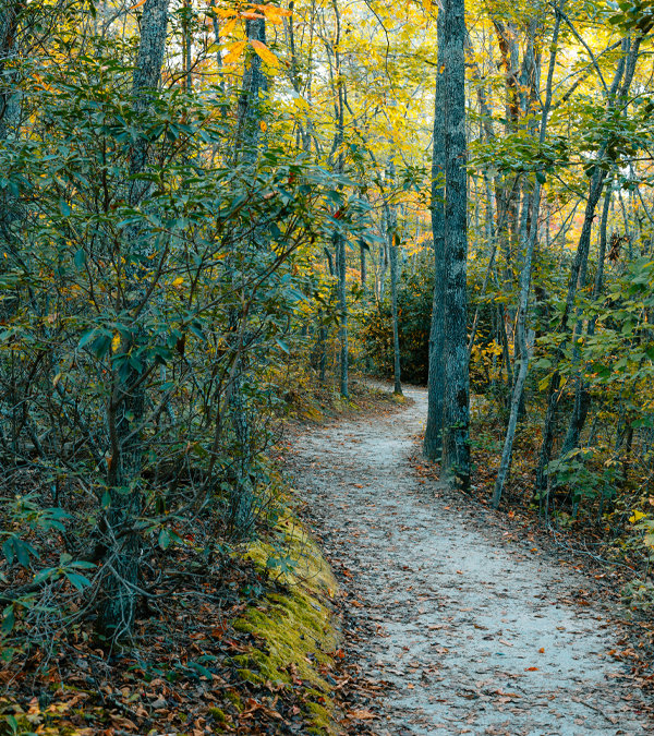 South Carolina Adventure Route- The Decision